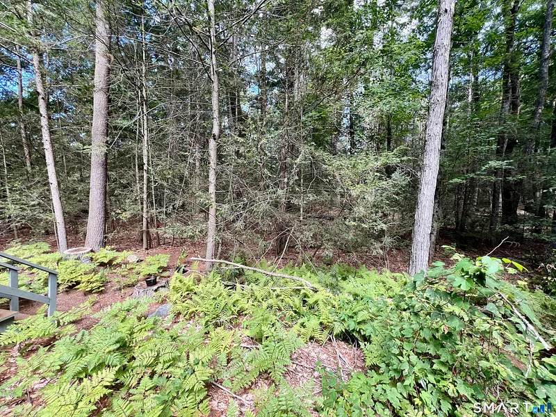 480 Evergreen Road Photo 23