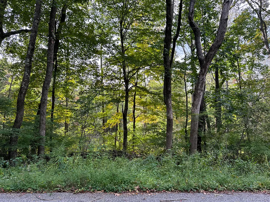 0 Lake Road Photo 2