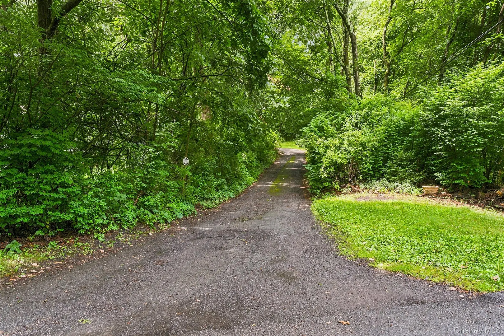35 Moccasin View Road Photo 39