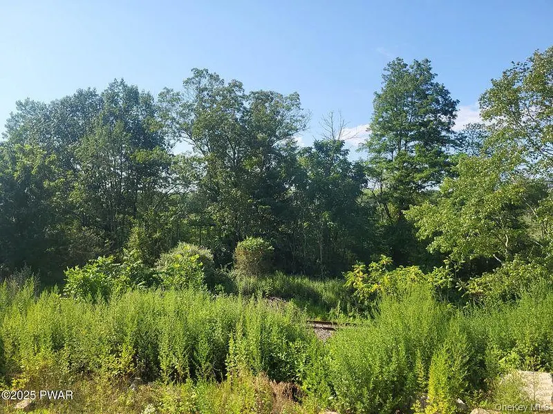 592 Mount Bethel Highway Photo 15