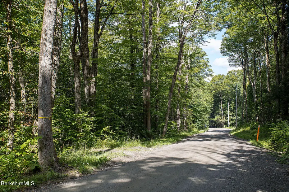 0 Mount Hunger Rd Photo 11