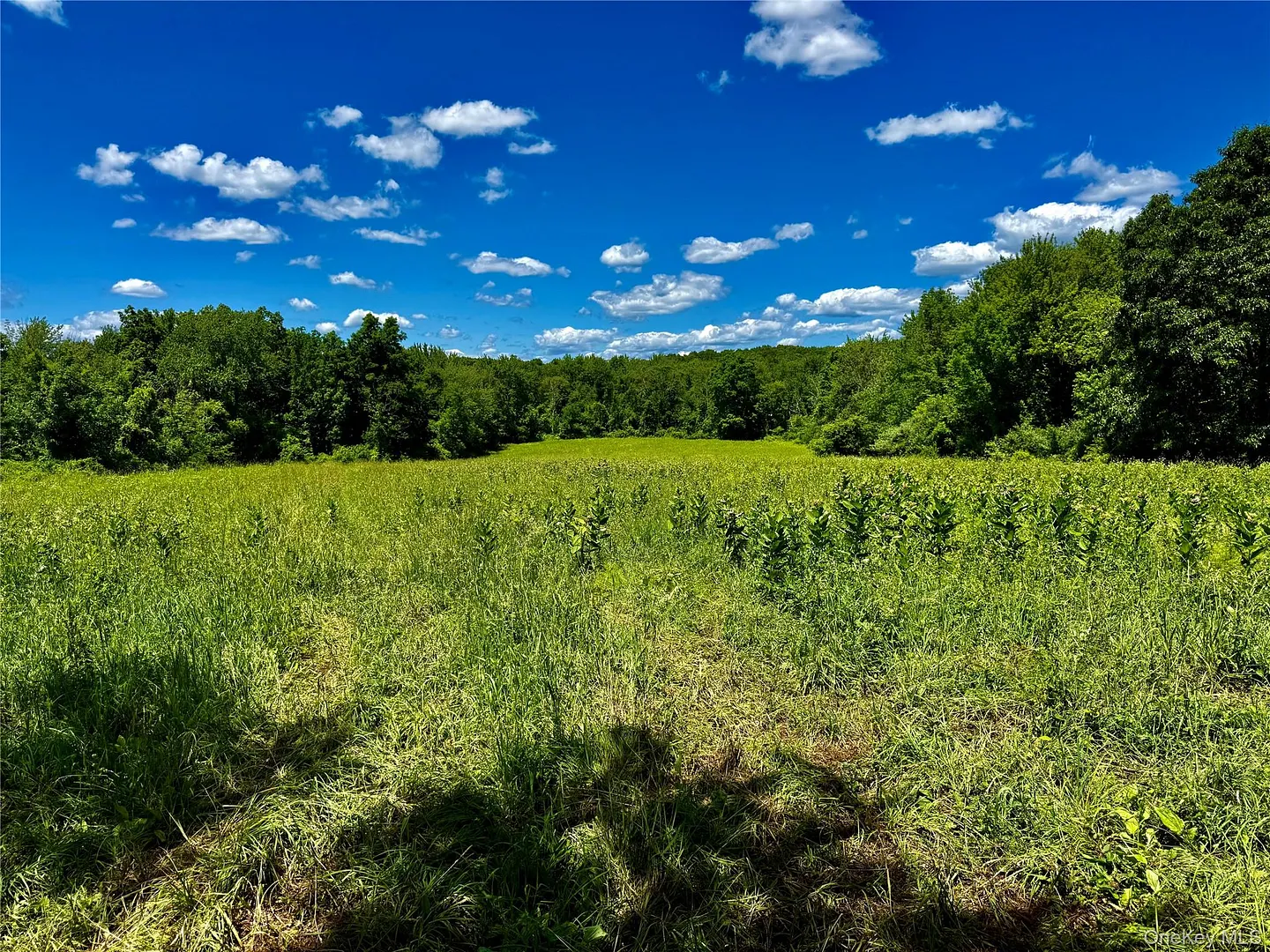 513 Rossway Road Photo 12