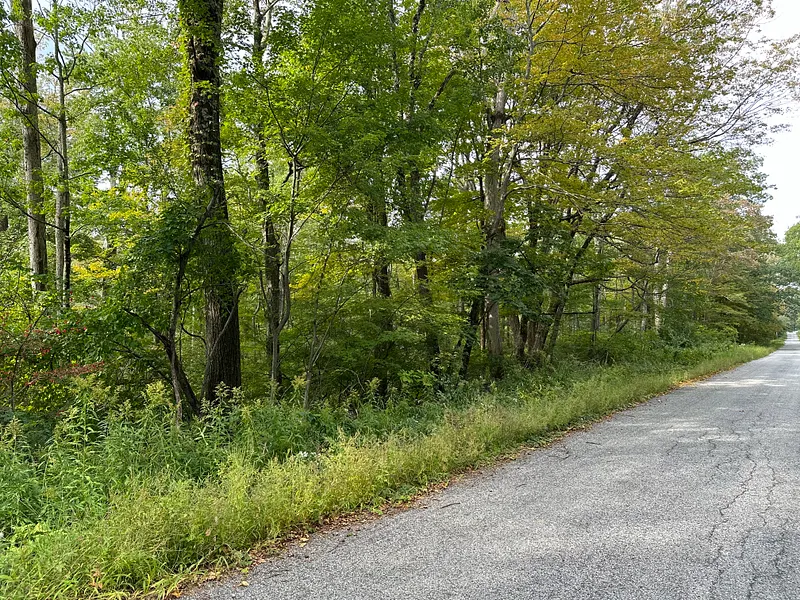 0 Lake Road Photo 3