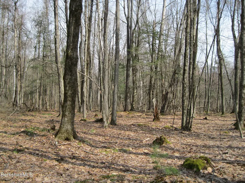 0 Mohawk Lake Rd Photo 3
