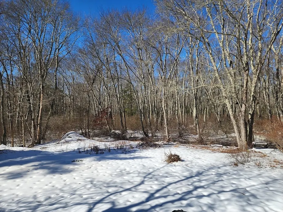 427 Winter Street Photo 19