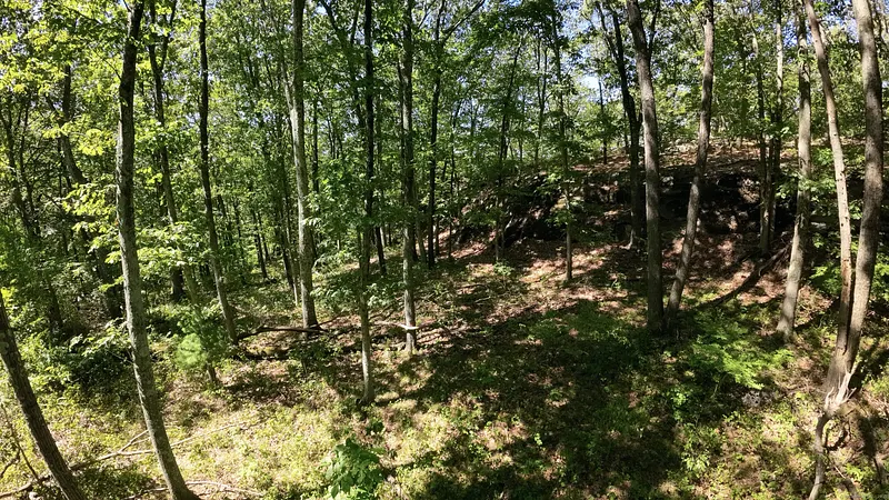 97 Nashville Road Photo 7