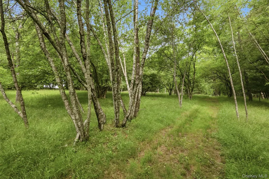 115 Cold Spring Road Photo 24