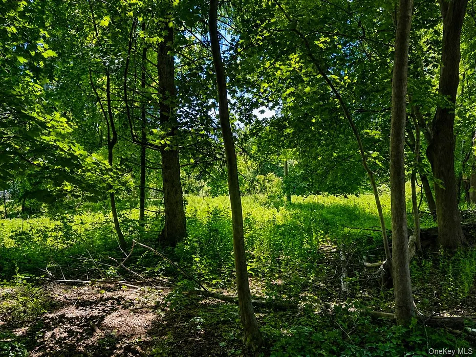 Route 55 Photo 7