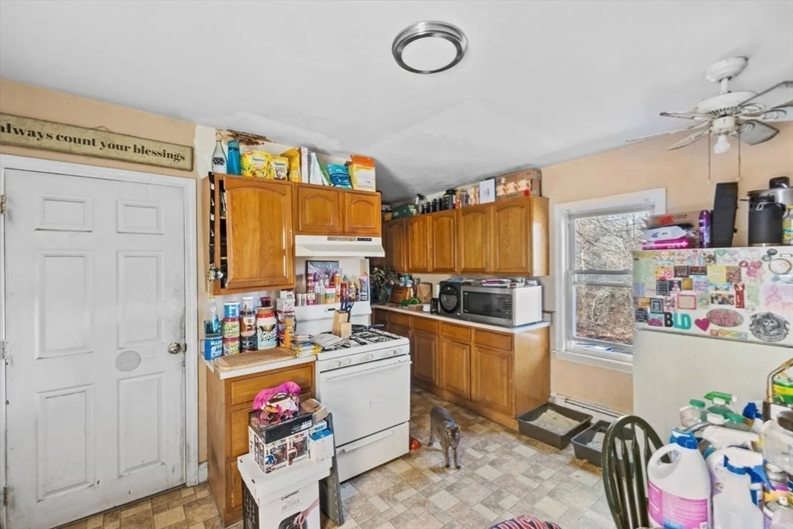 42 Godfrey St Photo 26