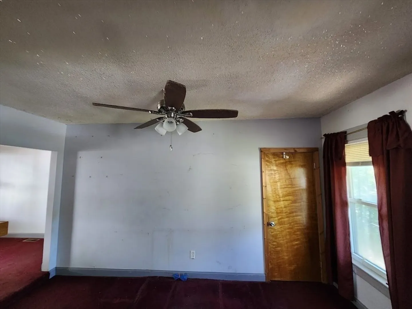 156 Grattan St Photo 15