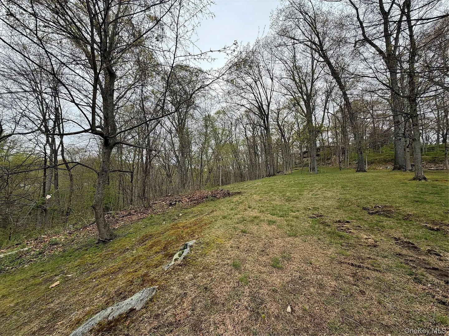 800 Sleepy Hollow Road Photo 11