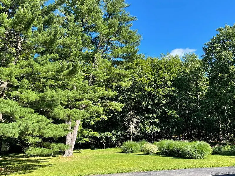 2195 Route 302 Photo 18
