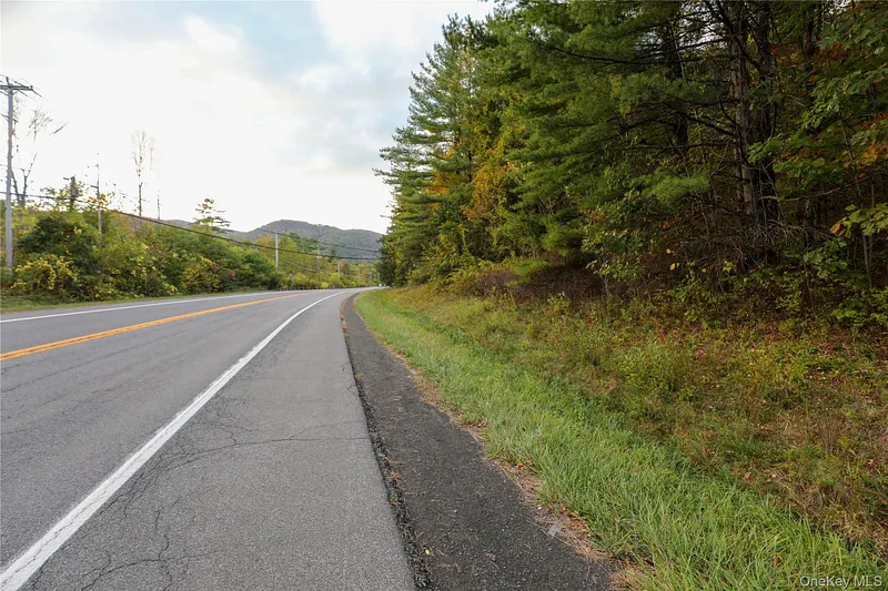 Tbd Ny-28 Route Photo 2