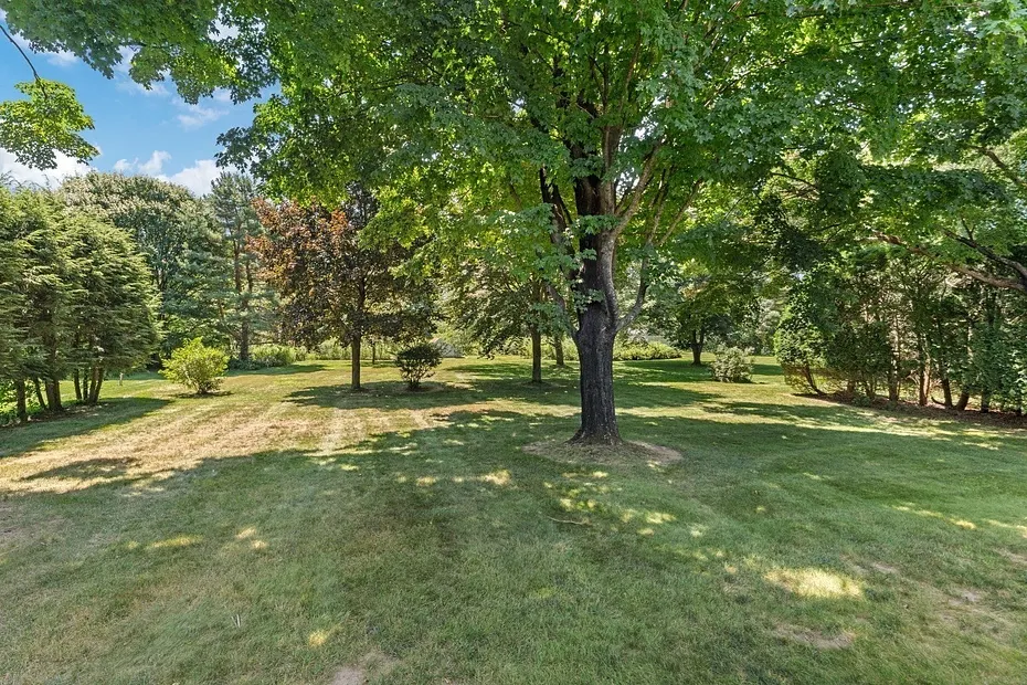 28 Pine Street Photo 32