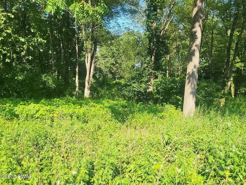 592 Mount Bethel Highway Photo 24