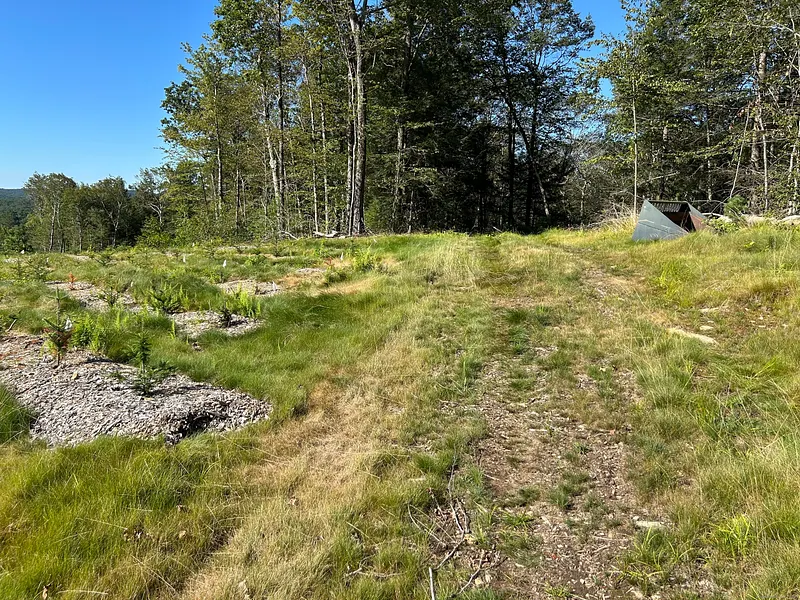 00 Prock Hill Road Photo 7
