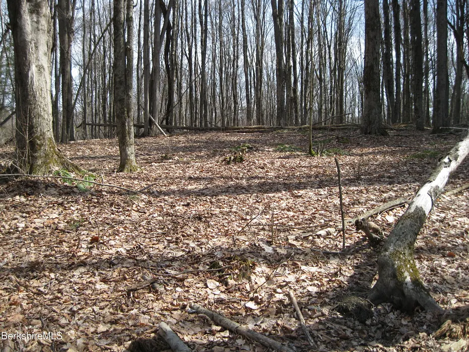 0 Mohawk Lake Rd Photo 2
