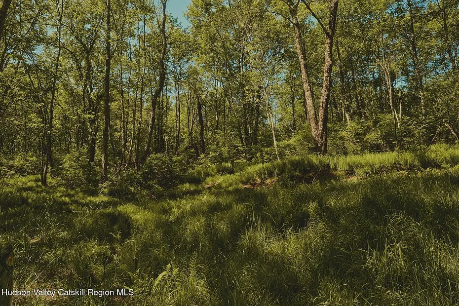 0 Benton Hollow Road Photo 8