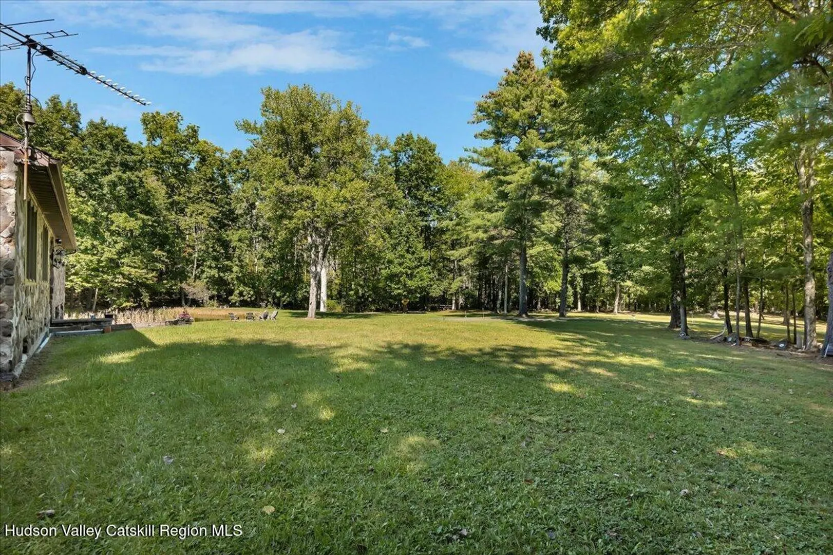 6196 New York 81 Photo 59