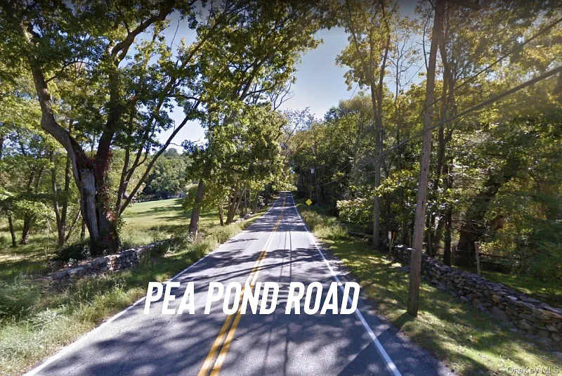 371-383 Pea Pond Road Photo 3