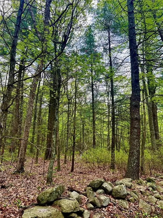 223 Reservoir Road Lot 5 Photo 16