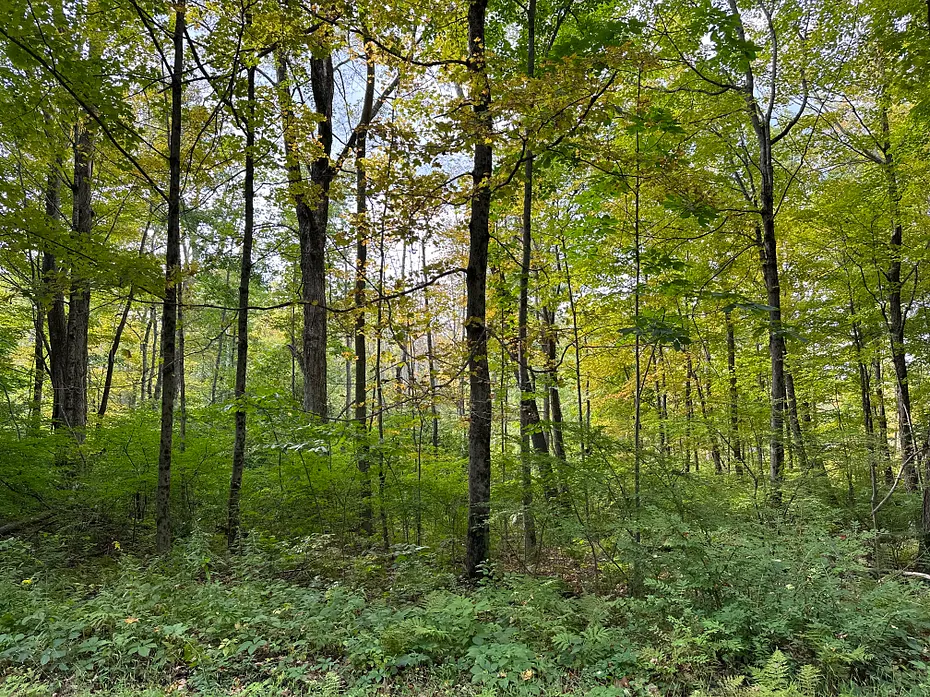 0 Lake Road Photo 6