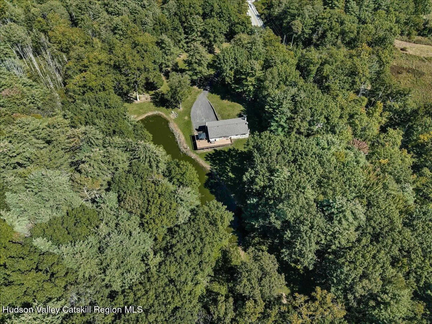 6196 New York 81 Photo 65