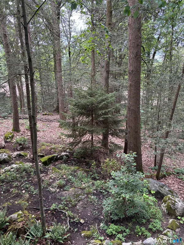 282 Cliffside Drive #282 Photo 14