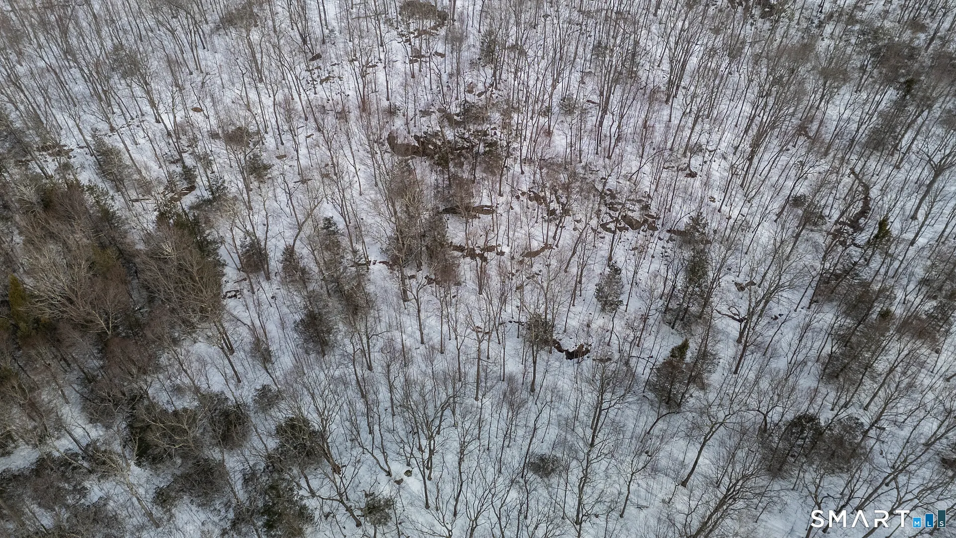 Frost Bridge Road Photo 35