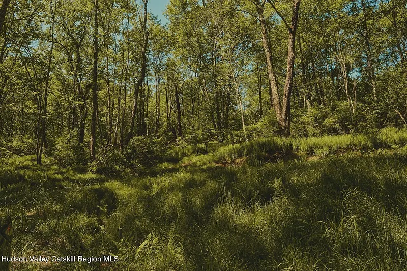 0 Benton Hollow Road Photo 8
