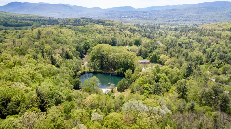 520 White Oaks Rd Photo 22