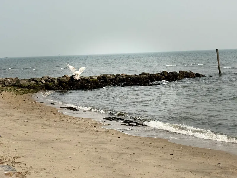 7 Sea Scape Drive Photo 11