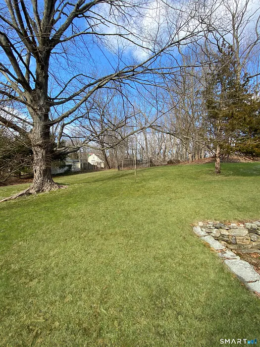 119 Kings Highway North Photo 6