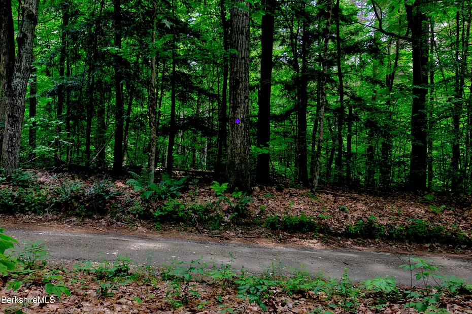 66 Scott Rd Photo 15