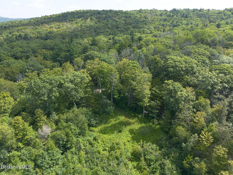 0 Mount Hunger Rd Photo 7