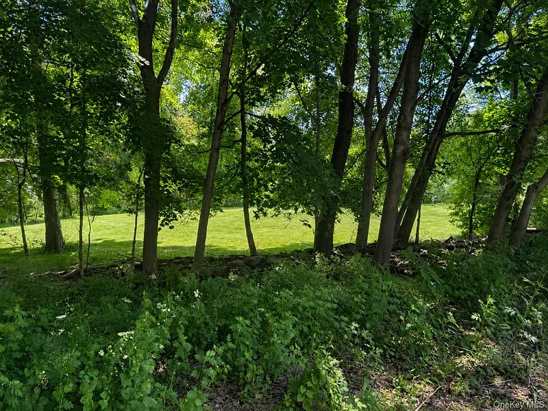 Route 55 Photo 2