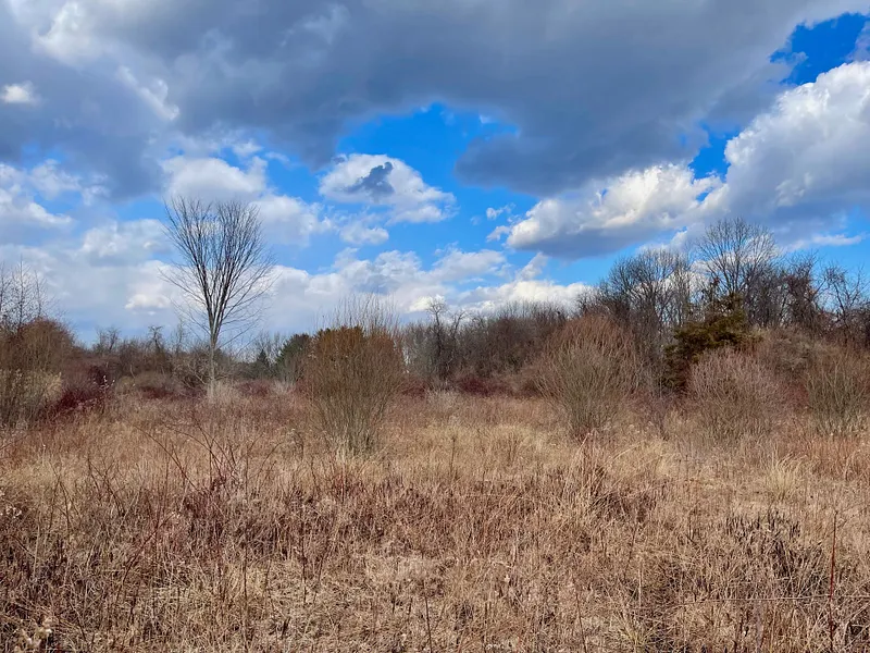 523 Voluntown Road Photo 3