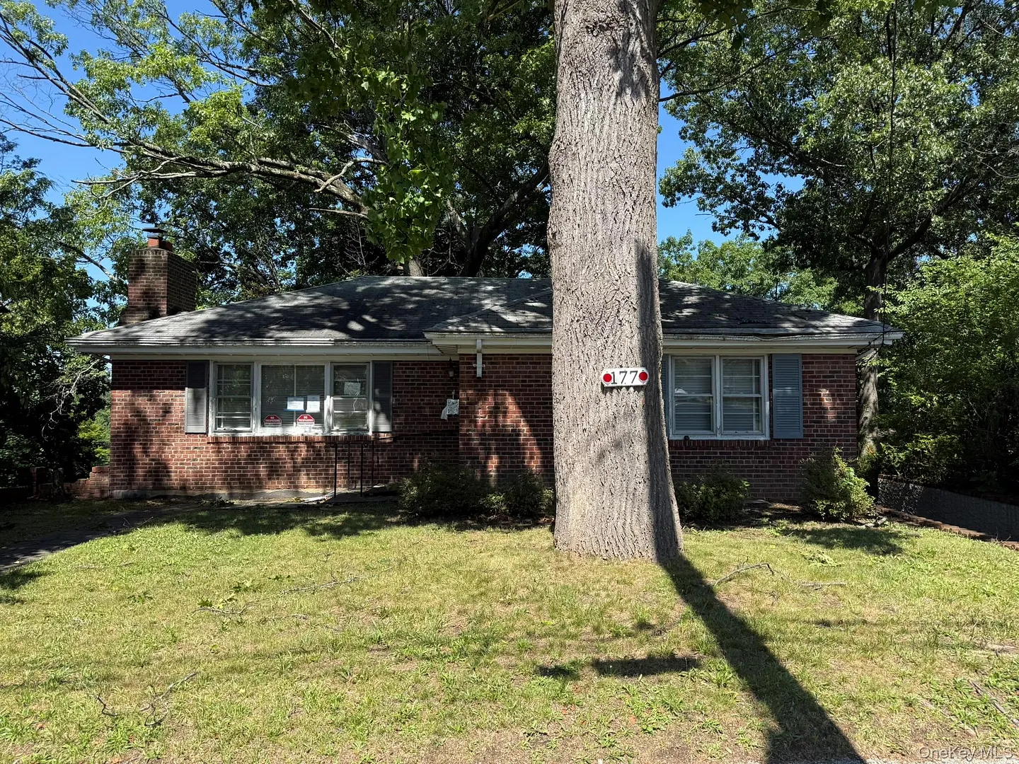 177 Longvue Terrace Photo 14