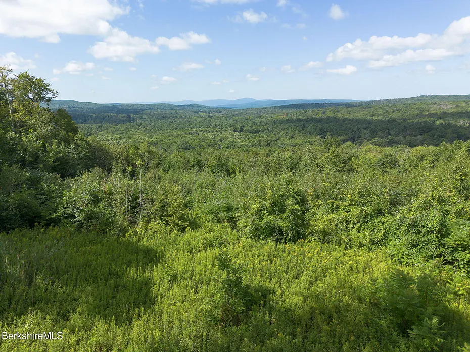 0 Mount Hunger Rd Photo 3