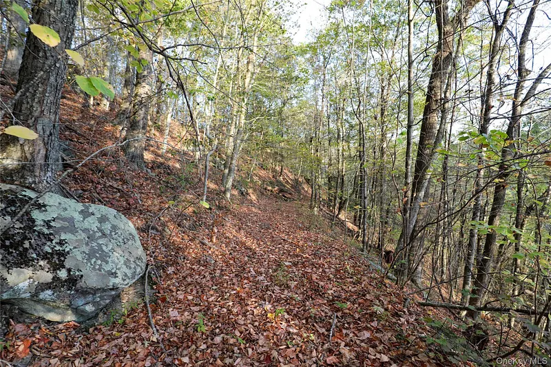 Tbd Ny-28 Route Photo 9