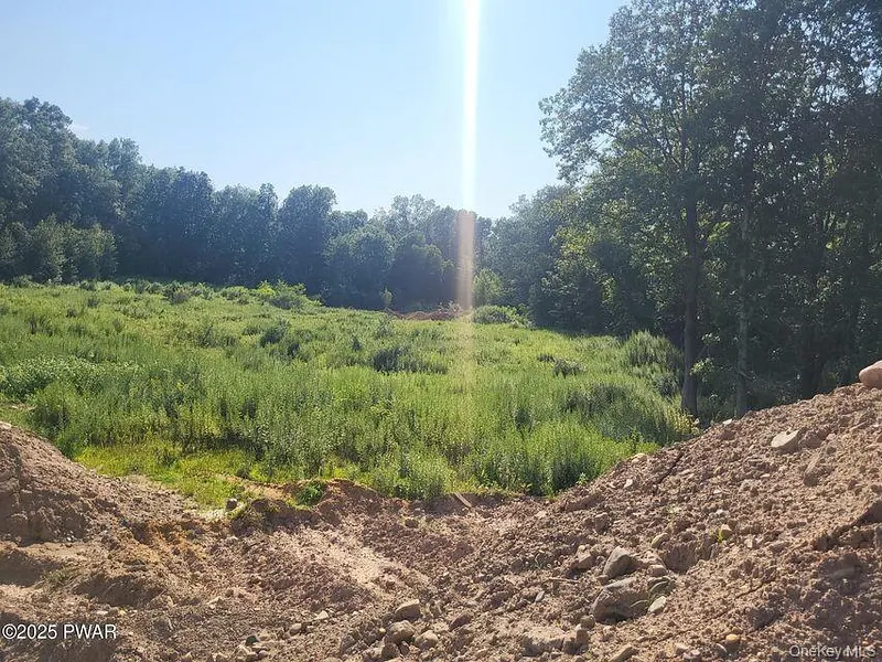 592 Mount Bethel Highway Photo 18