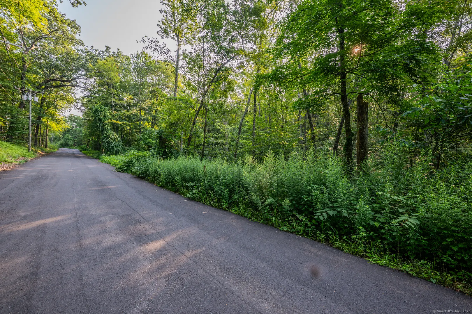 Frost Bridge Road Photo 24