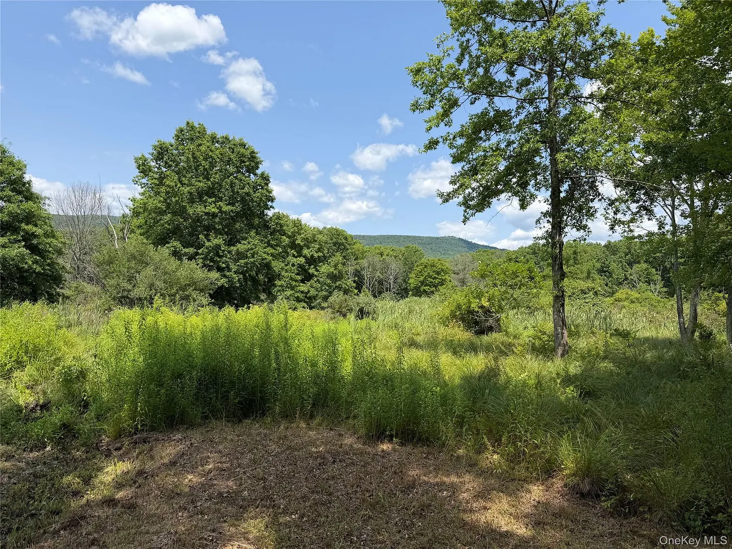 468 Decker Road Photo 34