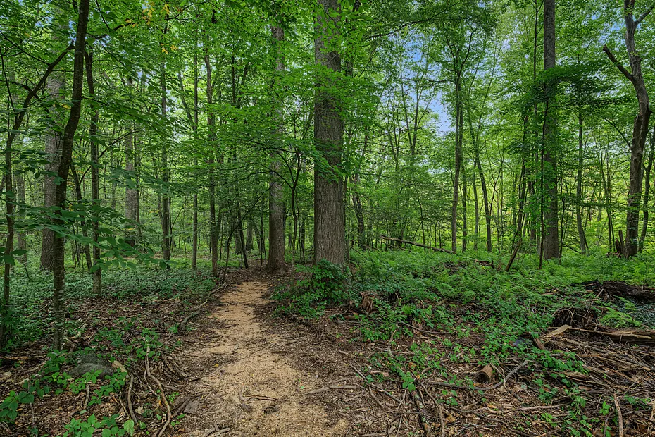 150 Race Hill Road Photo 37