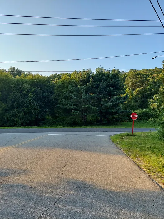 Frost Bridge Road Photo 1