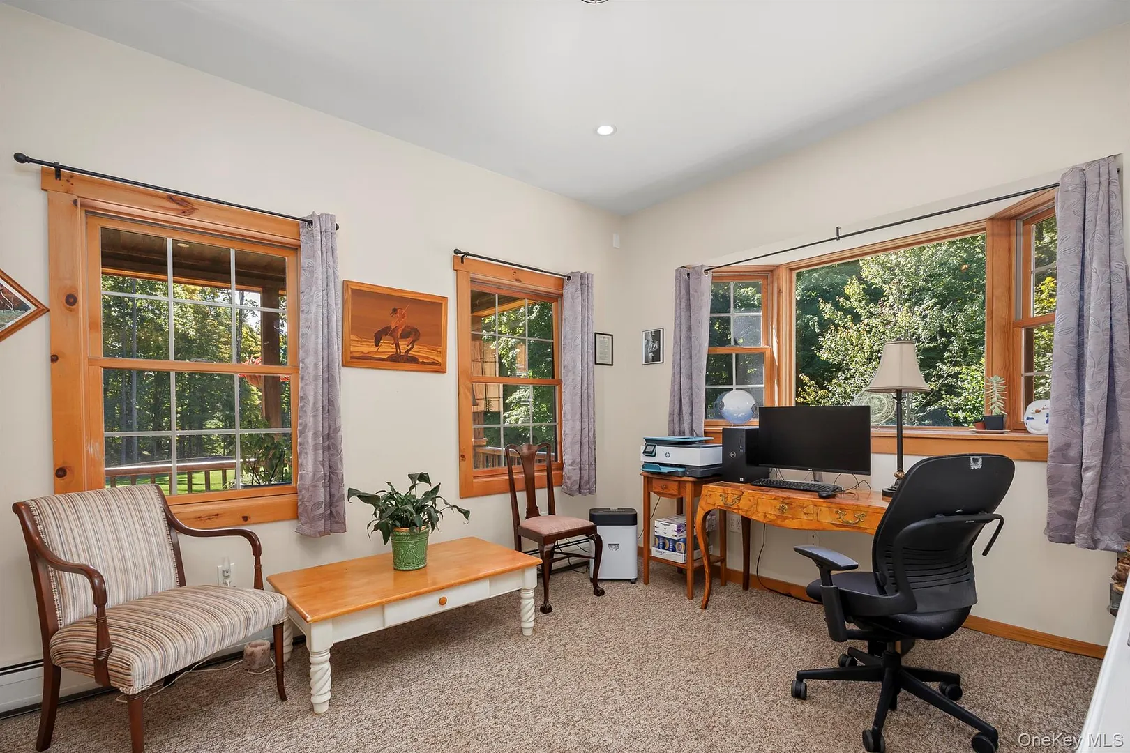 36 Appaloosa Lane Photo 18