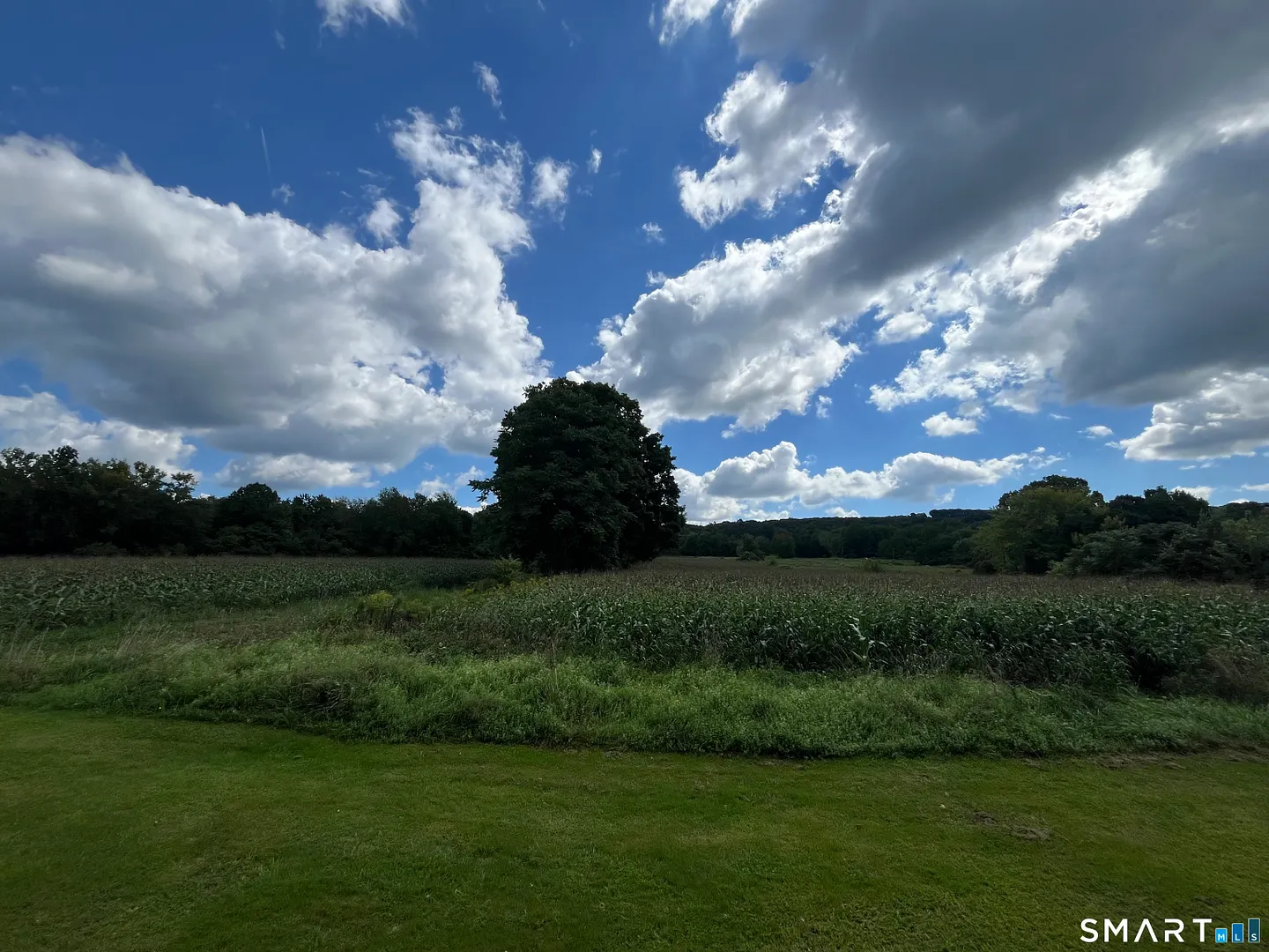 303 Somers Road Photo 29