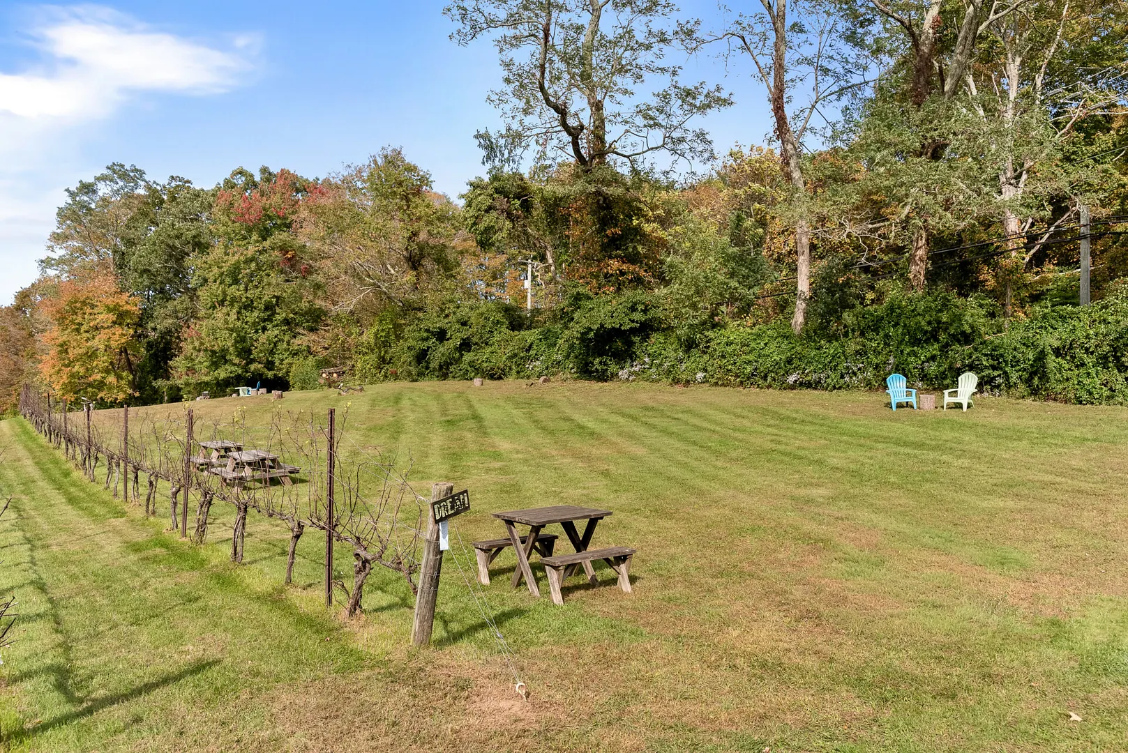 5 Elys Ferry Road Photo 6
