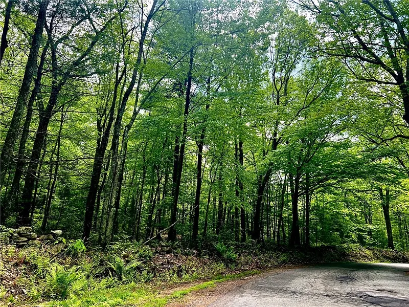223 Reservoir Road Lot 5 Photo 17