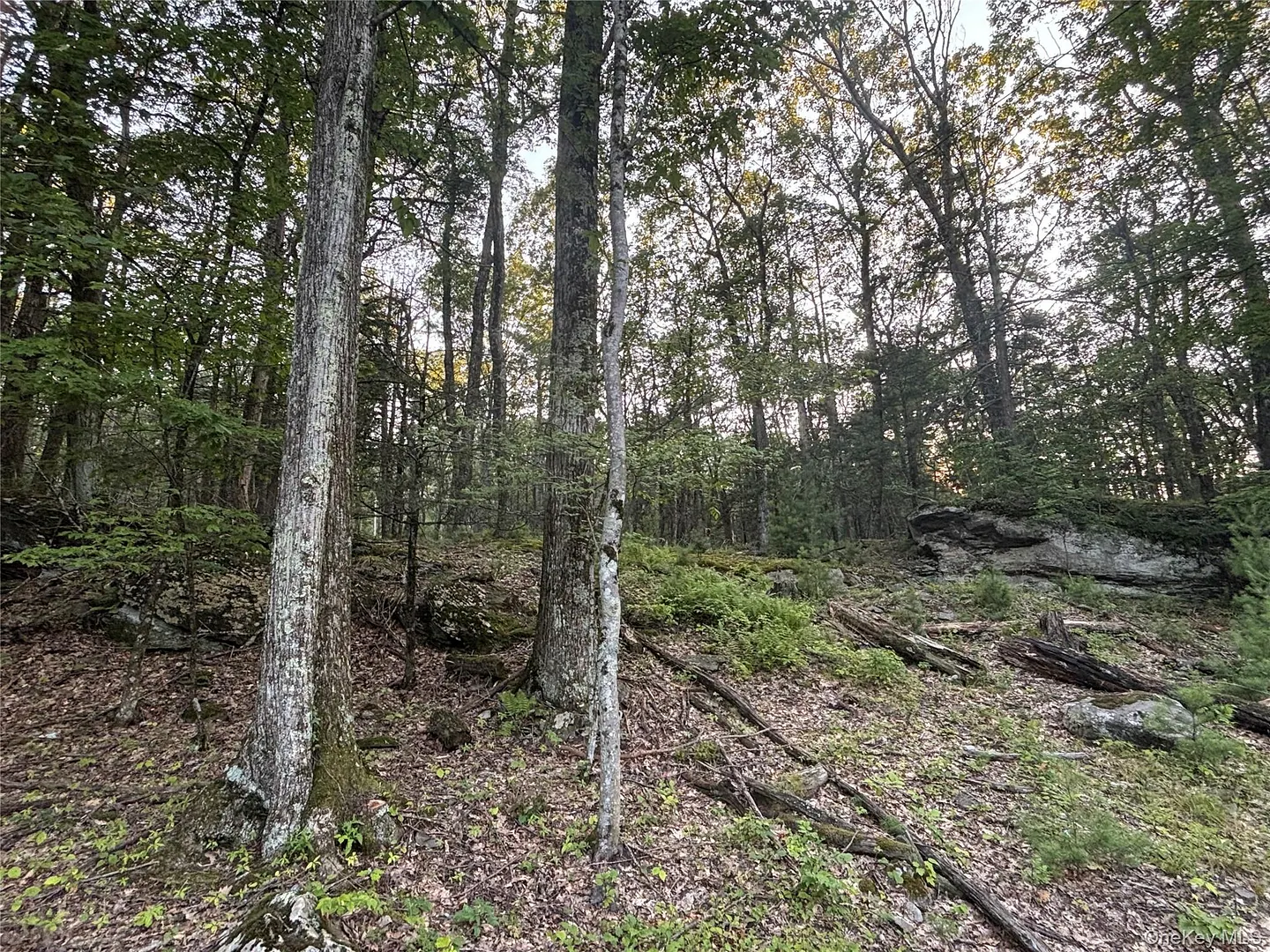 High Point Mountain Road Photo 9